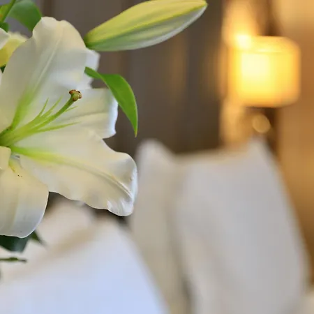 Hotell Klima Fiere Milano